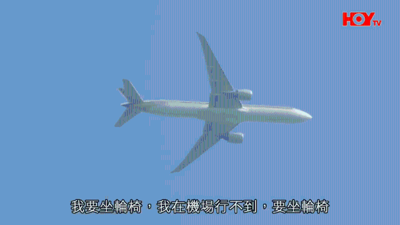 陳婆婆因多種原因無法返港