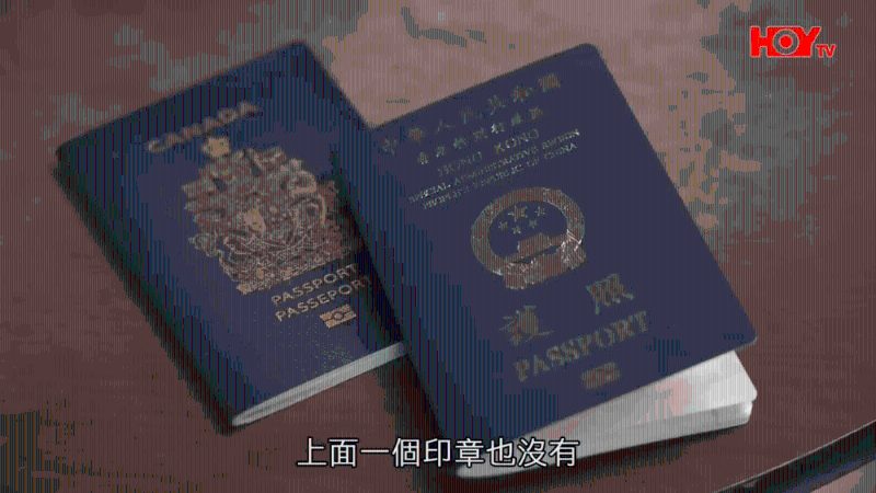 陳婆婆的護(hù)照