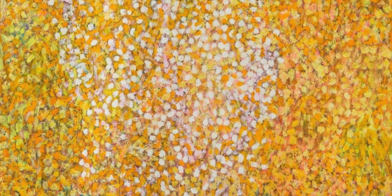 個體 · 源流 ? 表現(xiàn)