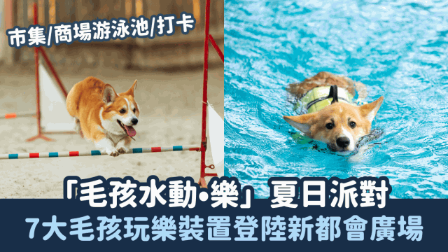 7大毛孩玩樂裝置登陸葵芳新都會廣場，市集、商場游泳池、打卡