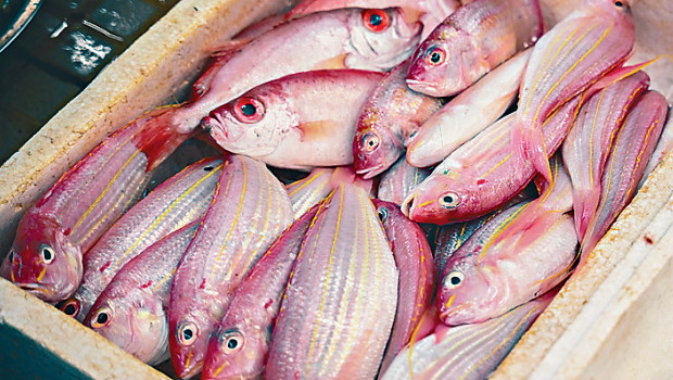 香港海鮮業(yè)隨時(shí)受核廢水事件拖累。 香港海鮮業(yè)隨時(shí)受核廢水事件拖累。