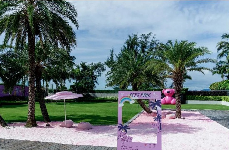 金沙灣留下的時(shí)尚大片