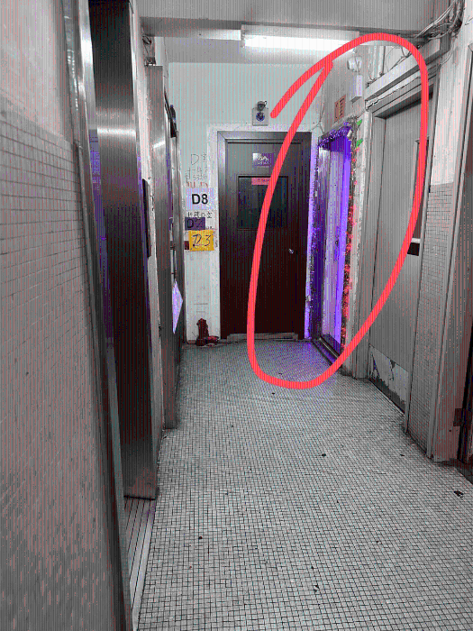 該內(nèi)地女子表示，一層四戶，其余三戶全是鳳姐。