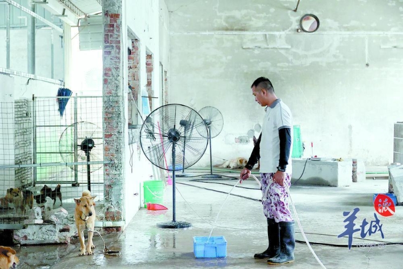 阿簡(jiǎn)的日?！S護(hù)基地衛(wèi)生