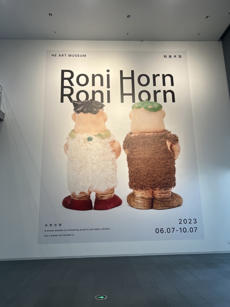 和美術館 Roni Horn《非夢亦夢》展覽，展期至2023年10月7日。圖：Trip@飛奔中的狼8