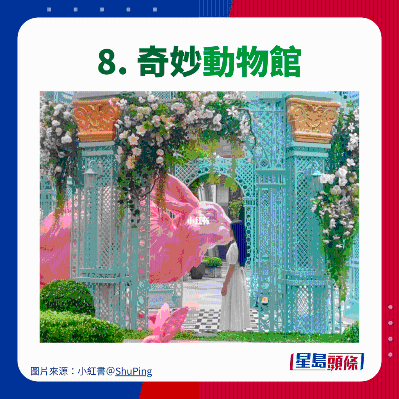 8.奇妙動(dòng)物館