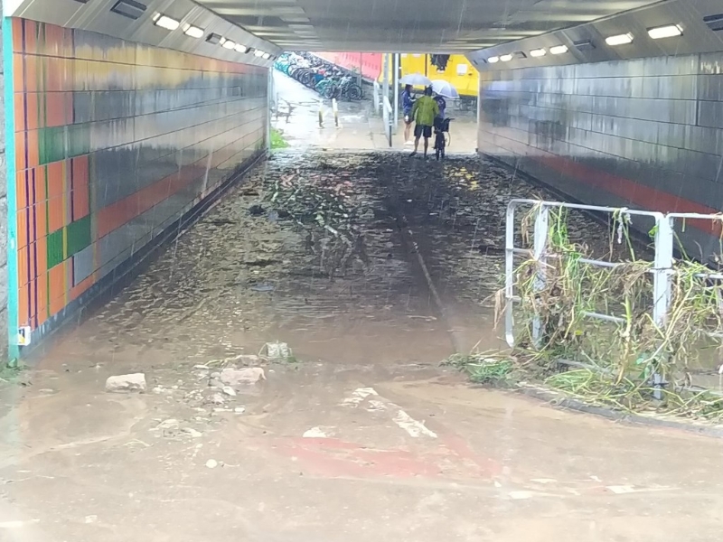 樓主報(bào)料，指大埔文娛中心條隧道系過(guò)到嘅。