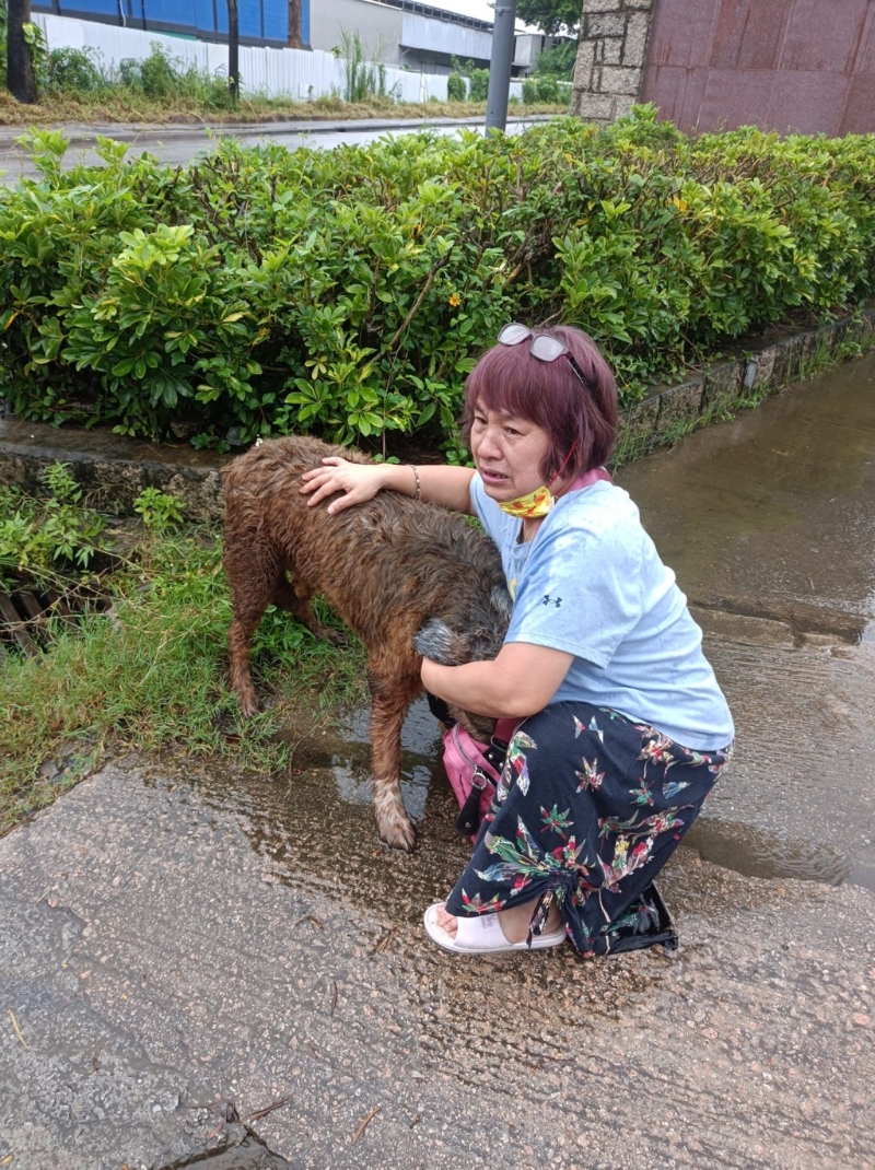 女狗主的姐姐梁太發(fā)現(xiàn)豆釘時(shí)喜極而泣。