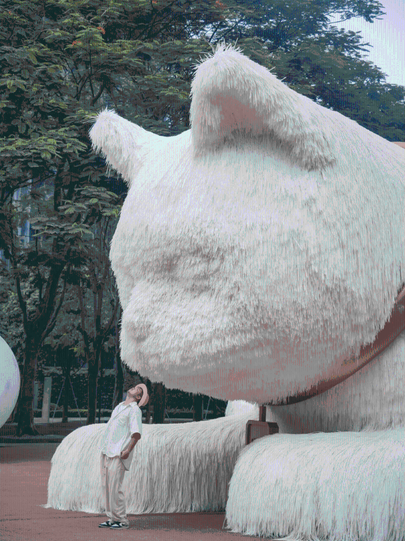 毛茸茸的巨貓超可愛(ài)（圖片來(lái)源：小紅書(shū)）