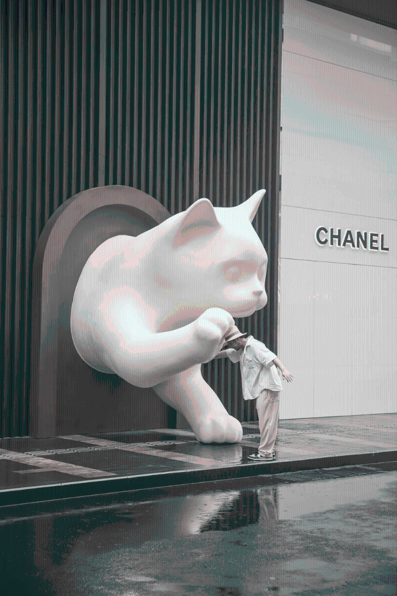 與巨型貓咪擊掌（圖片來(lái)源：小紅書(shū)）