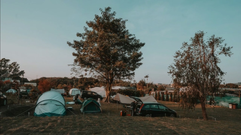 位于元朗錦田的森之谷農(nóng)莊。