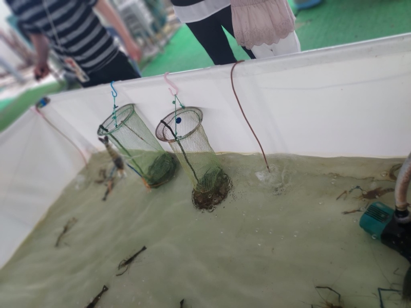 農莊設有釣蝦、釣魚場，即釣即燒夠新鮮惹味。 （圖片來源：天水圍富來休閑農莊及釣魚場）