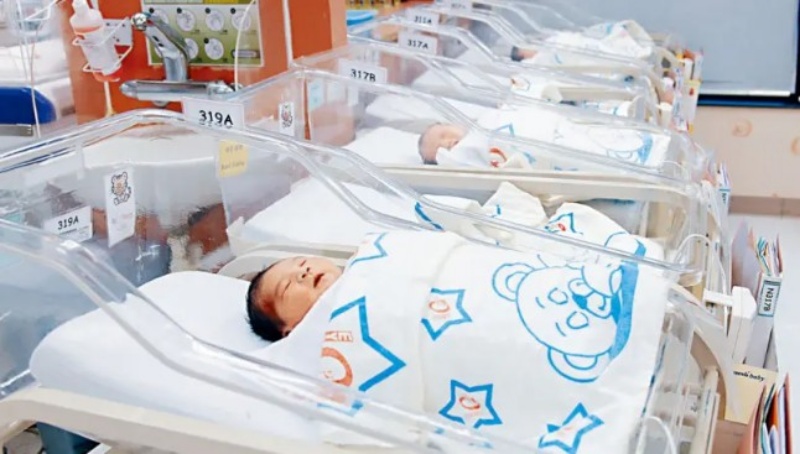 生育政策 生育政策