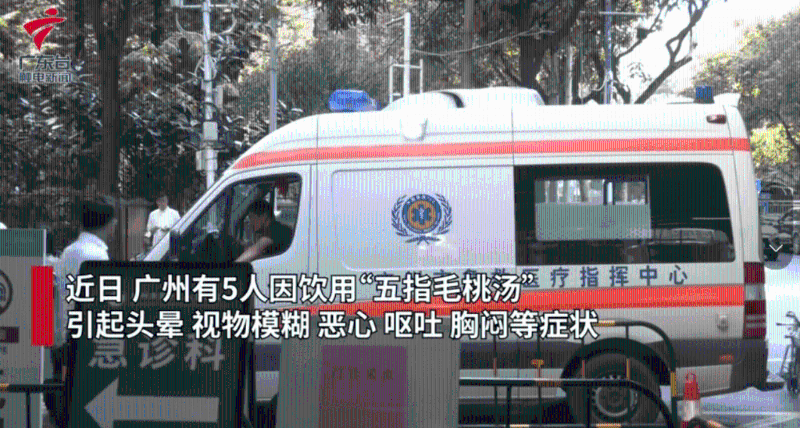 出現(xiàn)嘔吐、頭暈等癥狀（影片截圖：廣東臺觸電新聞）