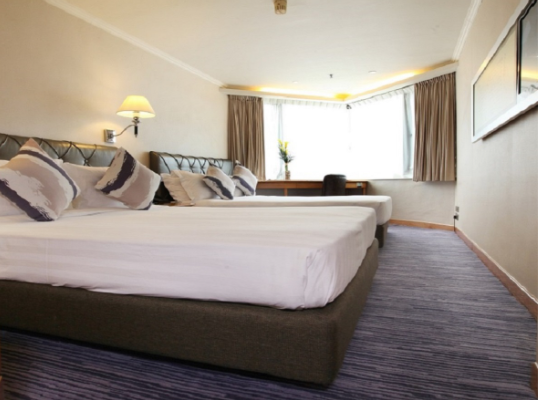 君怡酒店 房間 君怡酒店 房間