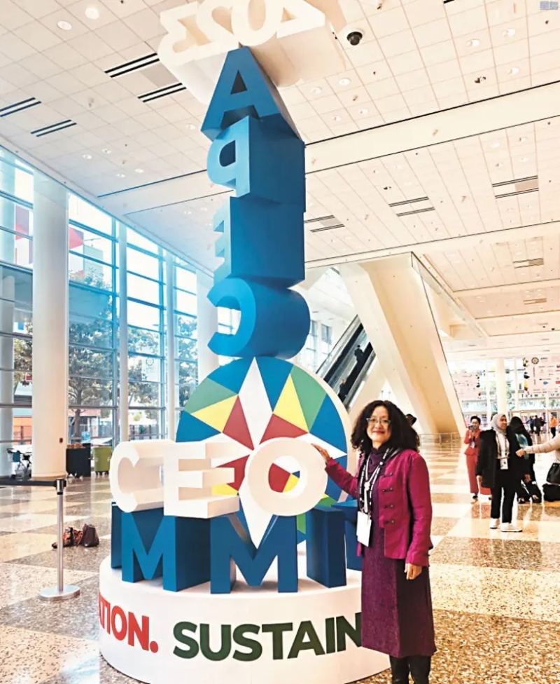 參加APEC CEO高峰會的魏冰。