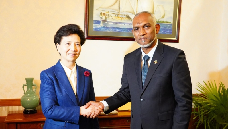 穆伊茲與國(guó)務(wù)委員諶貽琴會(huì)面 穆伊茲與國(guó)務(wù)委員諶貽琴會(huì)面