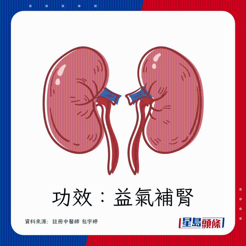 功效：益氣補(bǔ)腎