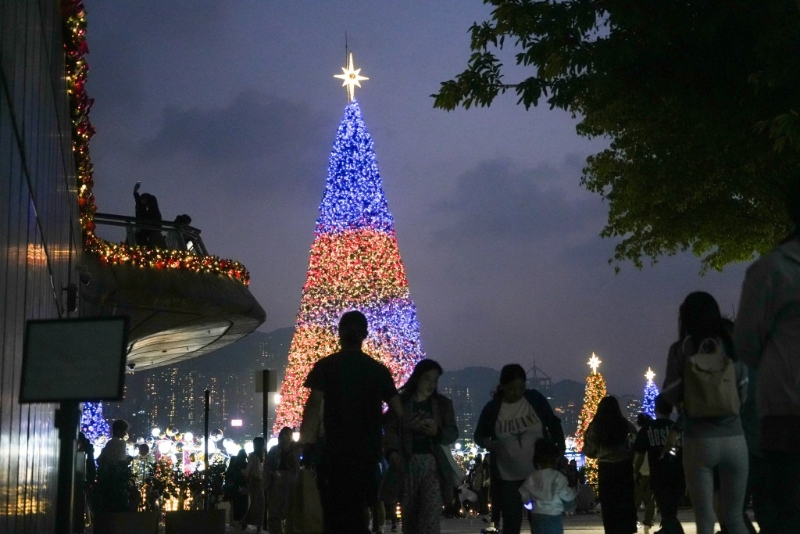 圣誕樹今日在草坪西面亮燈。 吳艷玲攝