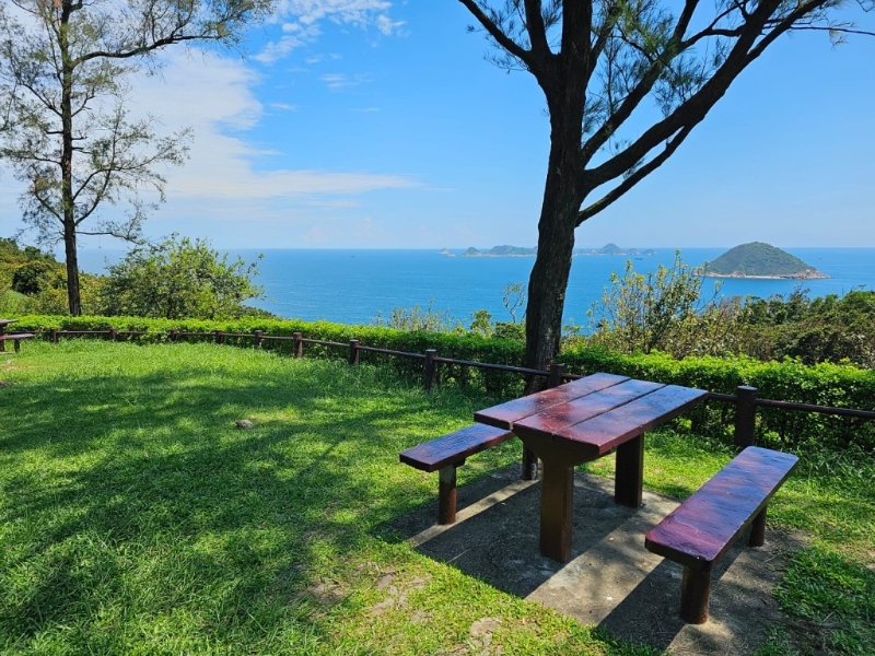 望著無遮擋海景野餐，比去海 景餐廳經(jīng)濟得多。