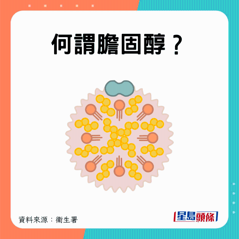 甚么是膽固醇？