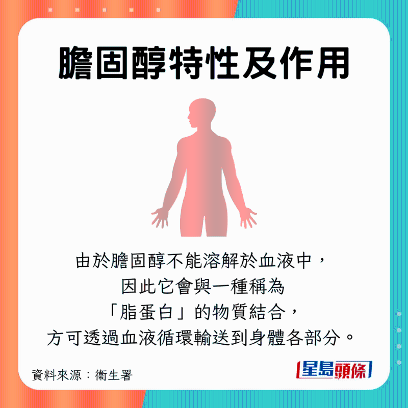 膽固醇與脂蛋白混合，通過血管傳輸至全身