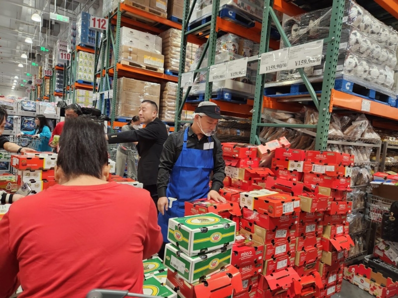 Costco有兩款品牌“miss o premium cherries”及“波板”，均為2.5公斤裝，分別售￥159.9元及￥279.9元人民幣。 資料圖片