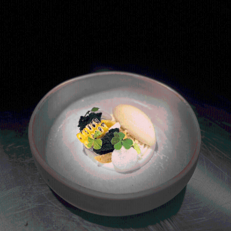 來自LeDu的「瀨尿蝦、紅鯛魚、苦瓜雪葩」