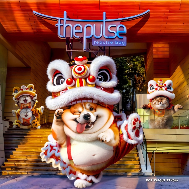 由2月1日至2月14日，the pulse將會舉辦全港首個“AI 百變造型毛孩藝術(shù)展”