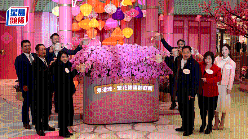 將軍澳東港城1.19起一連22日推花展會，逾百款蘭花可供選購。 陳極彰攝