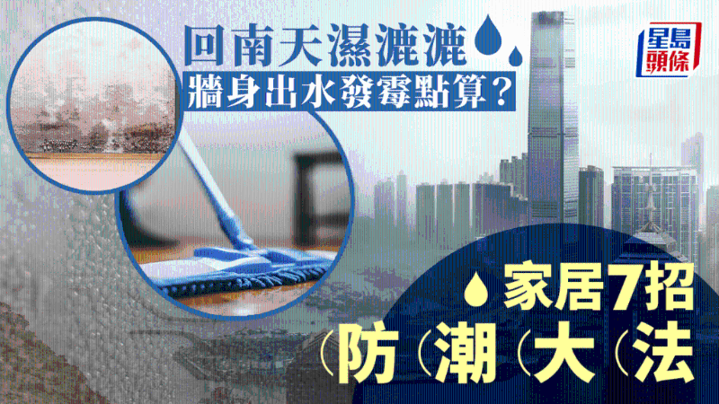 回南天濕漉漉，墻身出水發(fā)霉？家居7招防潮大法，附消委會(huì)推介抽濕機(jī)、吸濕劑