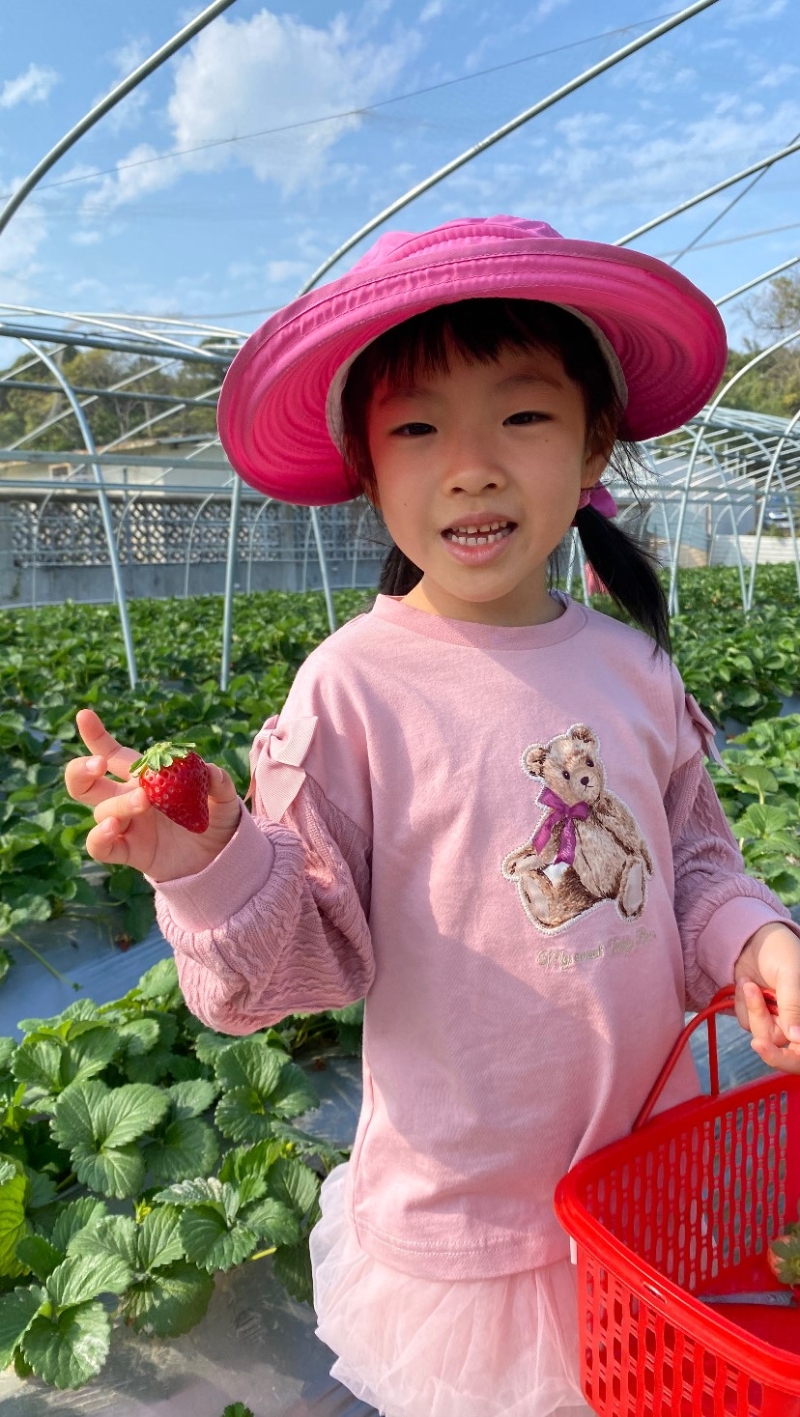 不要以為士多啤梨越大越甜，其實(shí)士多啤梨園的“小小” 士多啤梨也很甜美。（圖片來(lái)源：《親子王》）