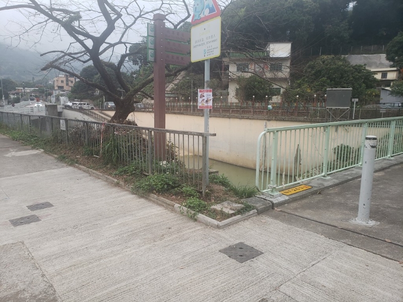 大埔河橋面欄桿窟窿