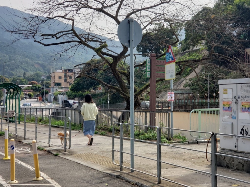 現(xiàn)場經(jīng)常有街坊放狗。