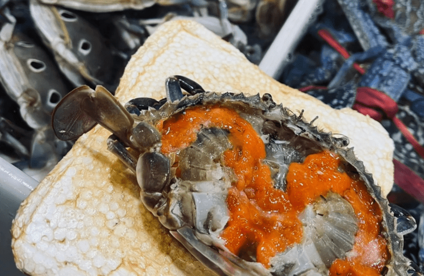 蛇口海鮮市 蛇口海鮮市