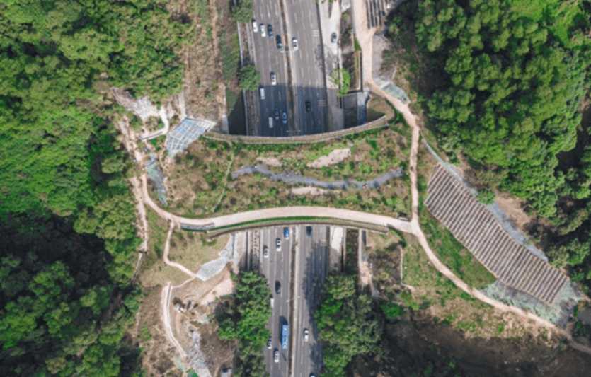 三徑三線 三徑三線