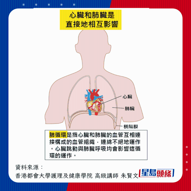 心臟與肺直接地相互影響