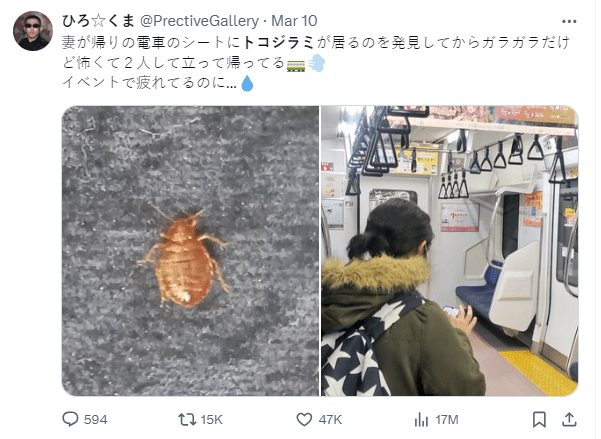 日本爆發(fā)虱患 日本爆發(fā)虱患