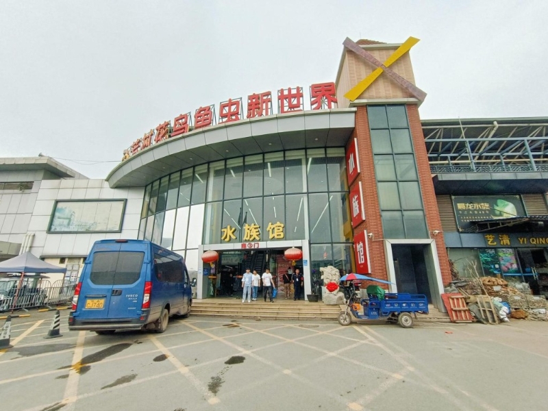 芳村花鳥魚蟲新世界 芳村花鳥魚蟲新世界