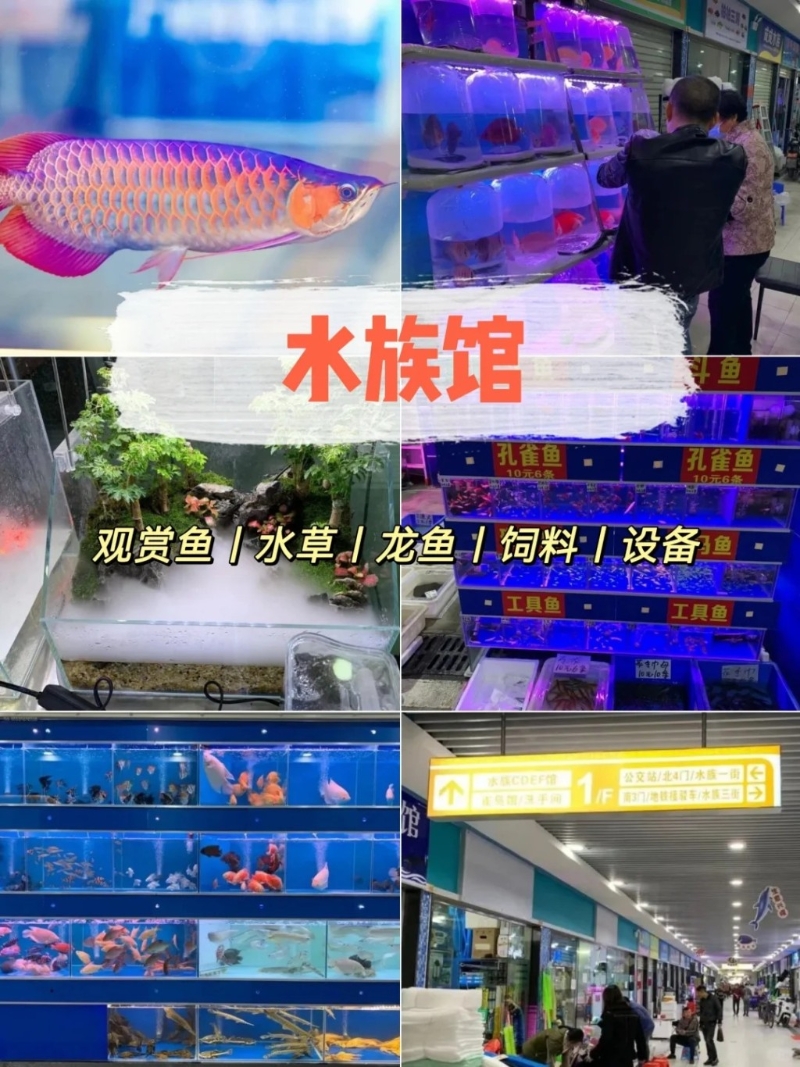 魚類區(qū) 魚類區(qū)