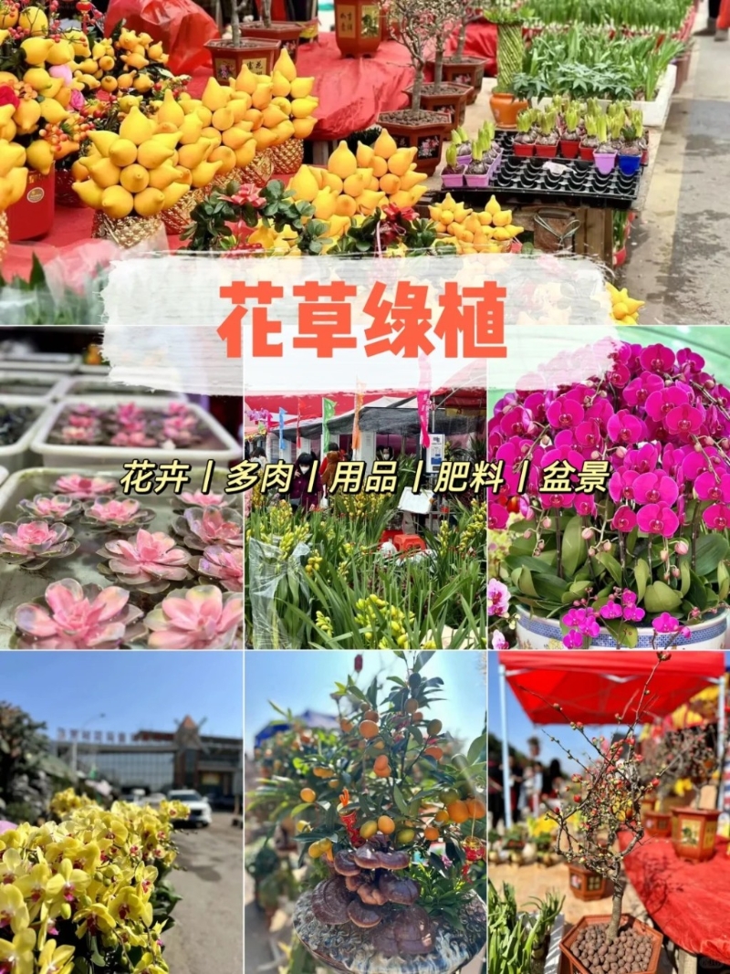 花草區(qū) 花草區(qū)