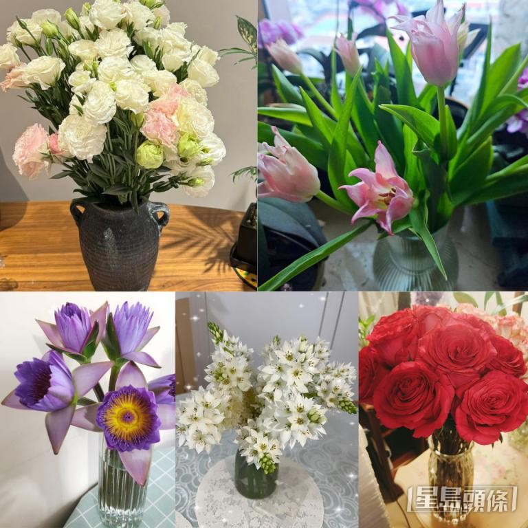 市民在社交平臺群組分享淘花的成果。