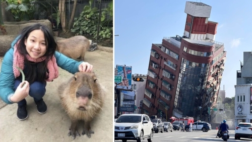 女教師為救愛貓折返天王星大樓，遇余震遭梁柱壓死