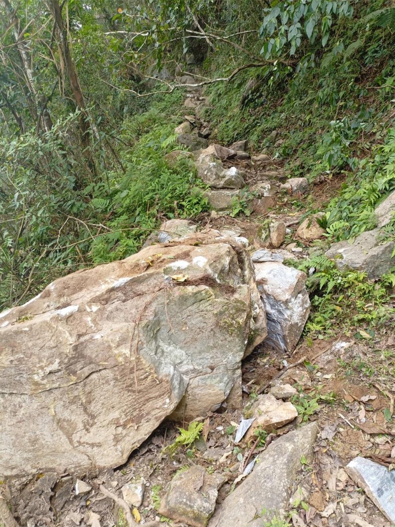 族人回家的路直接被震到面目全非