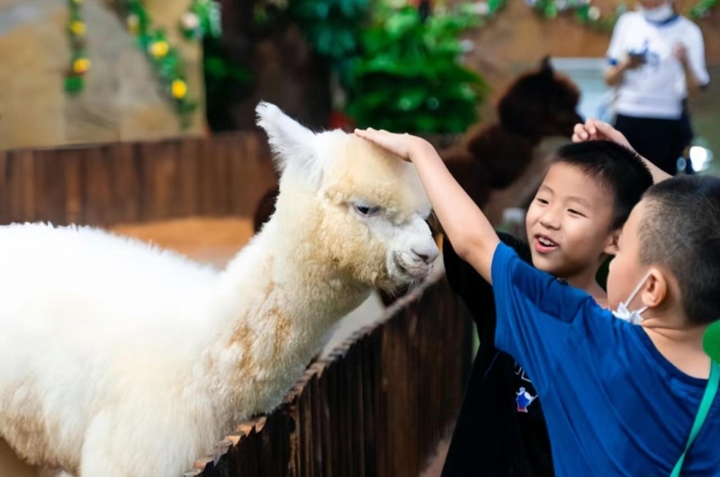 深圳親子游2024︳深圳野恩動(dòng)物園低至$66親親小動(dòng)物（圖片來(lái)源：小紅書@景景同學(xué)）