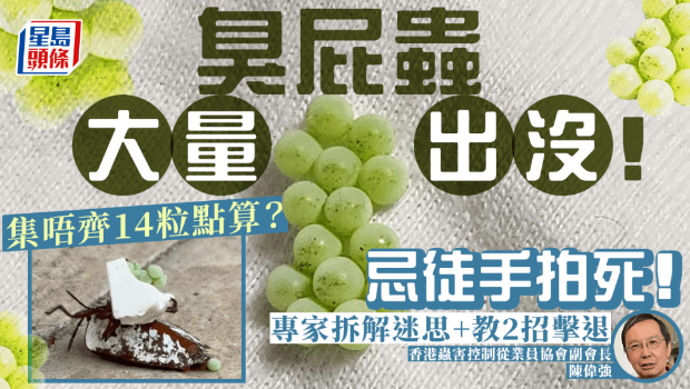 臭屁蟲大量出沒！