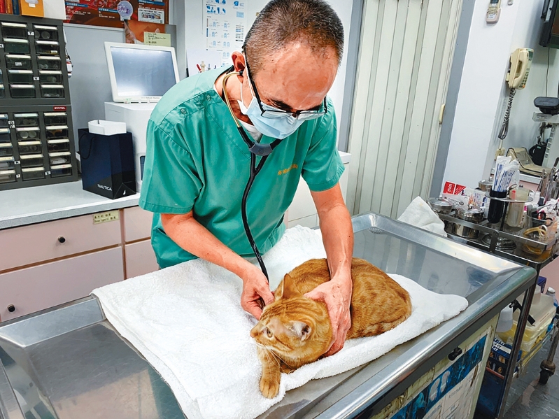 有小型獸醫(yī)診所職員擔心大集團壟斷市場。