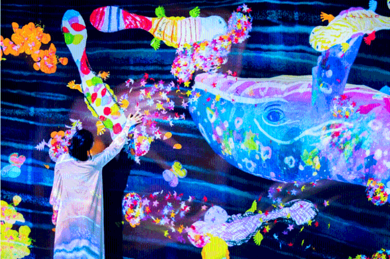 深圳 teamLab 共創(chuàng)！未來園