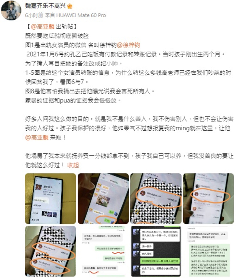 魏嘉公開(kāi)高亞麟與小三徐梓鈞曖昧對(duì)話內(nèi)容及匯款紀(jì)錄。