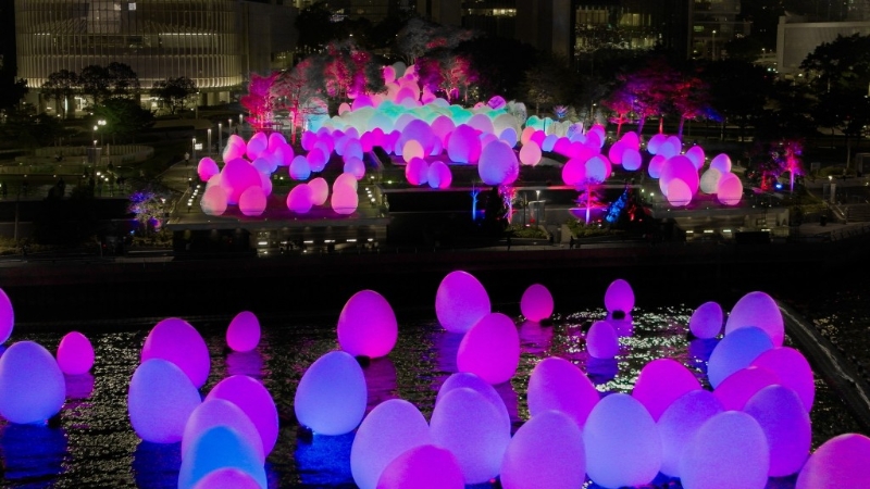 海上版TeamLab香港毋須預(yù)約免費參觀